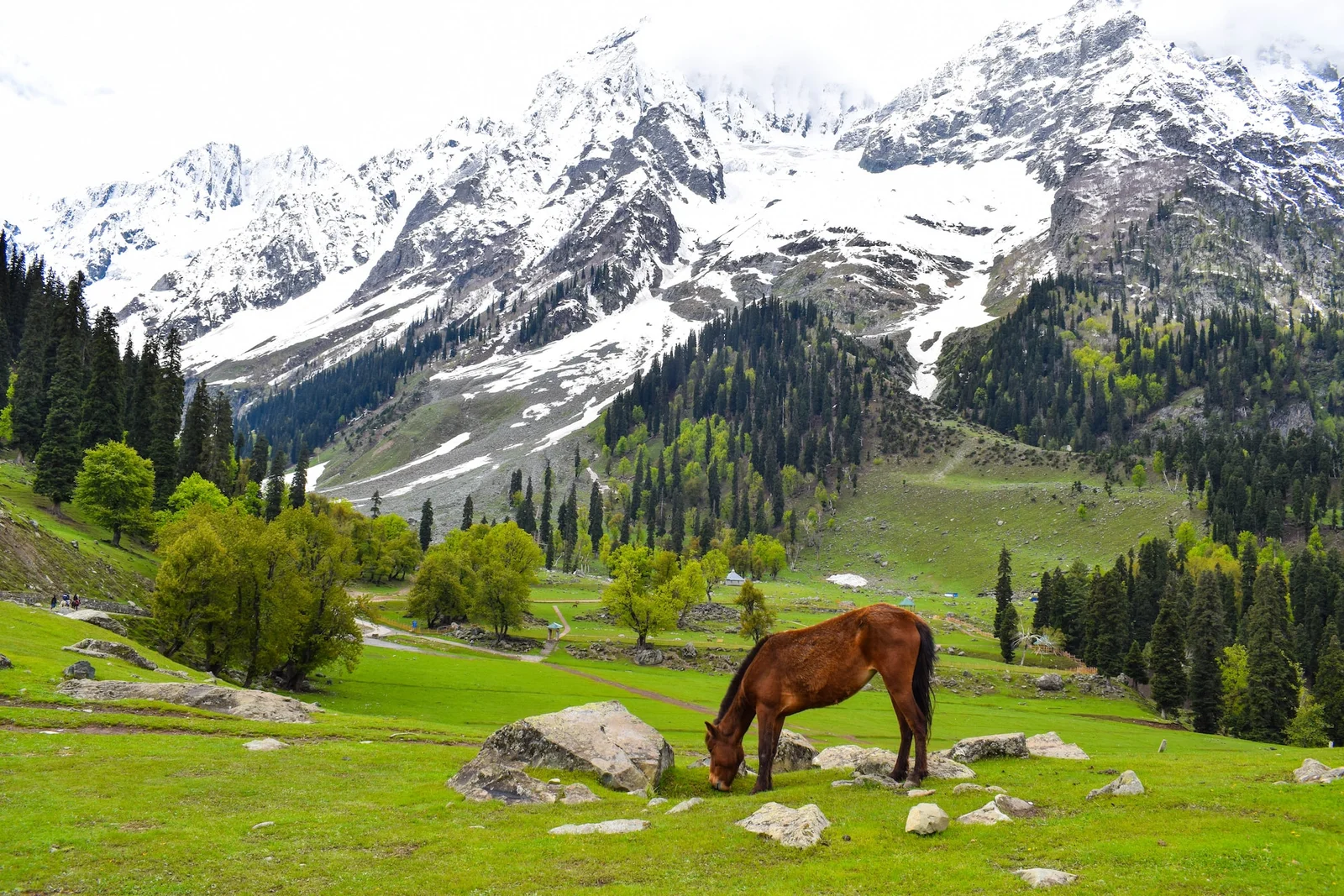 Experience the Magic of Kashmir Valley