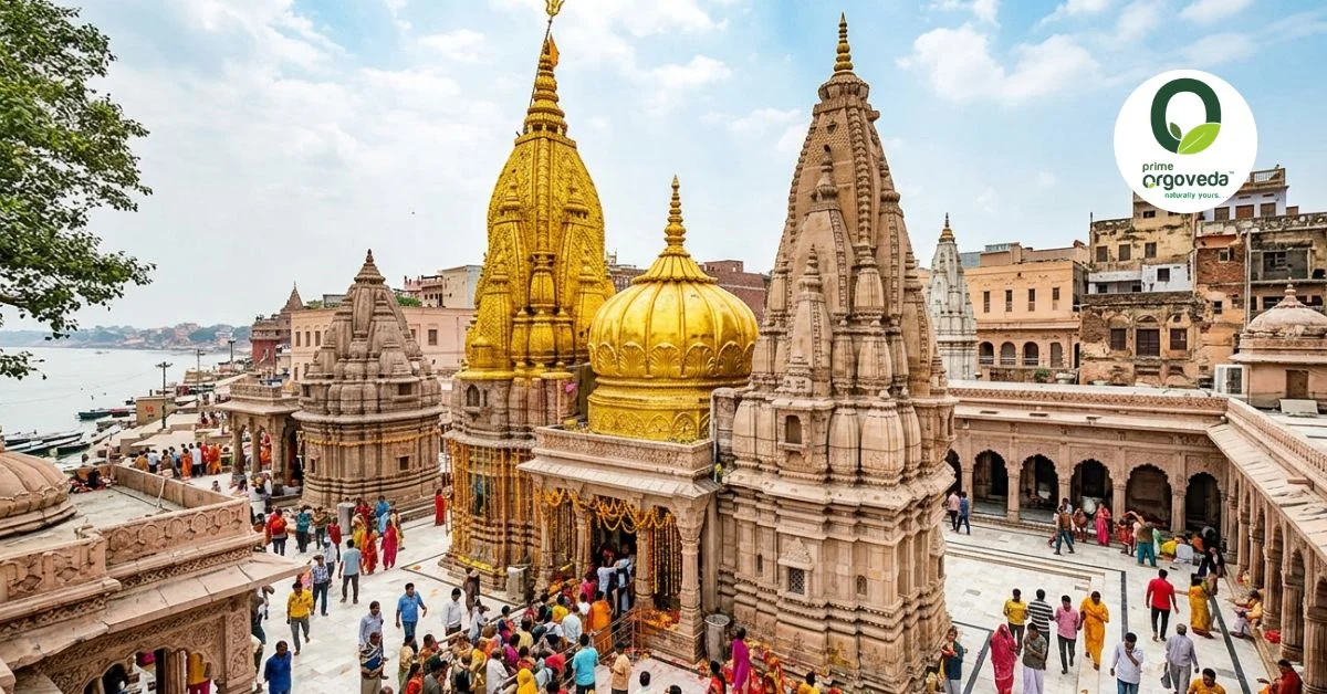 Varanasi Sacred Ghats & Kashi Vishwanath Divine Pilgrimage - slide 2