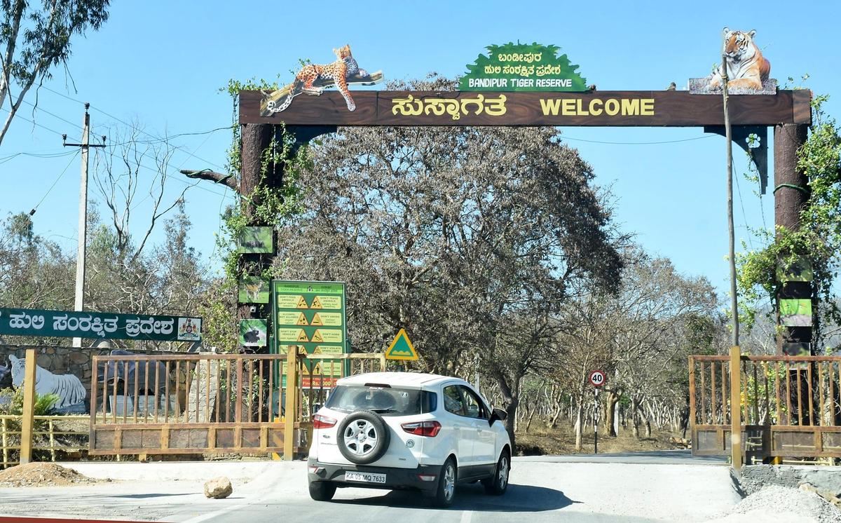 Bandipur & Nagarhole Tiger Reserve Dual Sanctuary Safari - slide 2