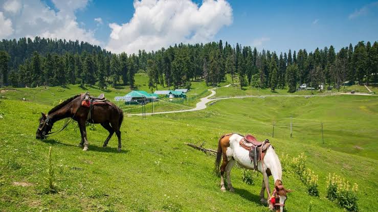 Gulmarg Family Tour Package - slide 4