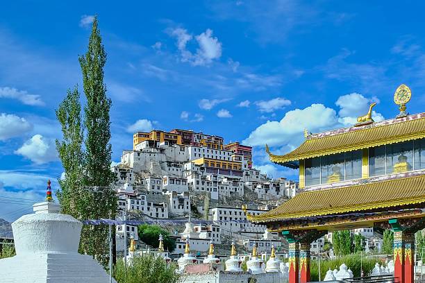 Ladakh Monastery & Culture Tour - slide 2
