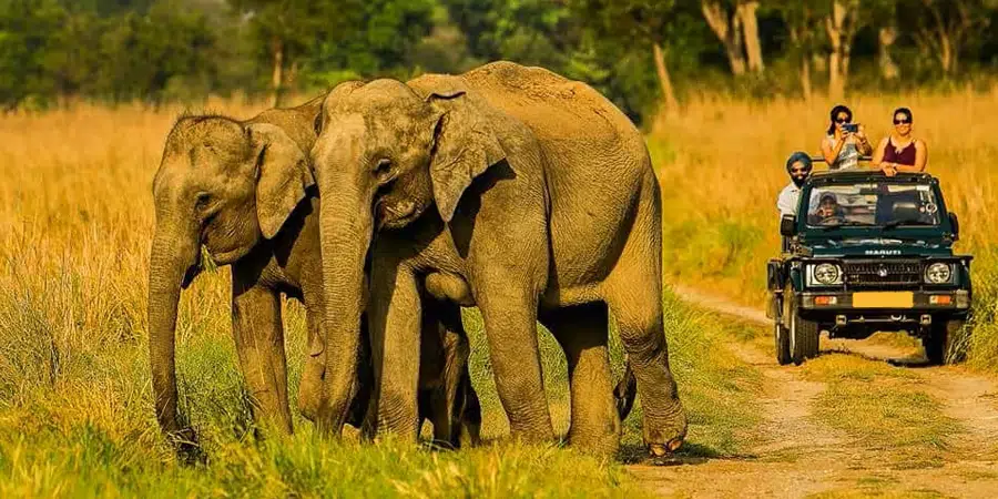 Corbett & Nainital Wildlife Holiday - slide 2