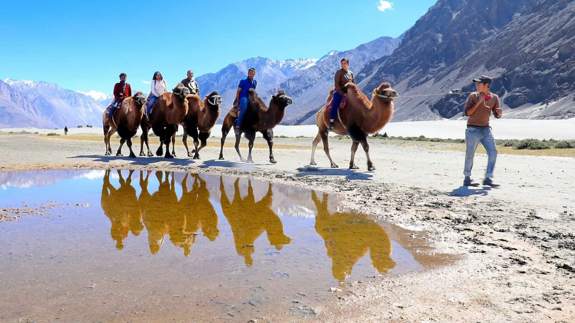Nubra Valley & Pangong Adventure - slide 2