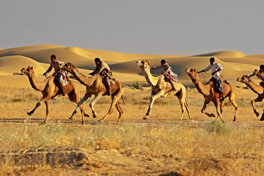 Rajasthan Desert Triangle Tour - slide 2