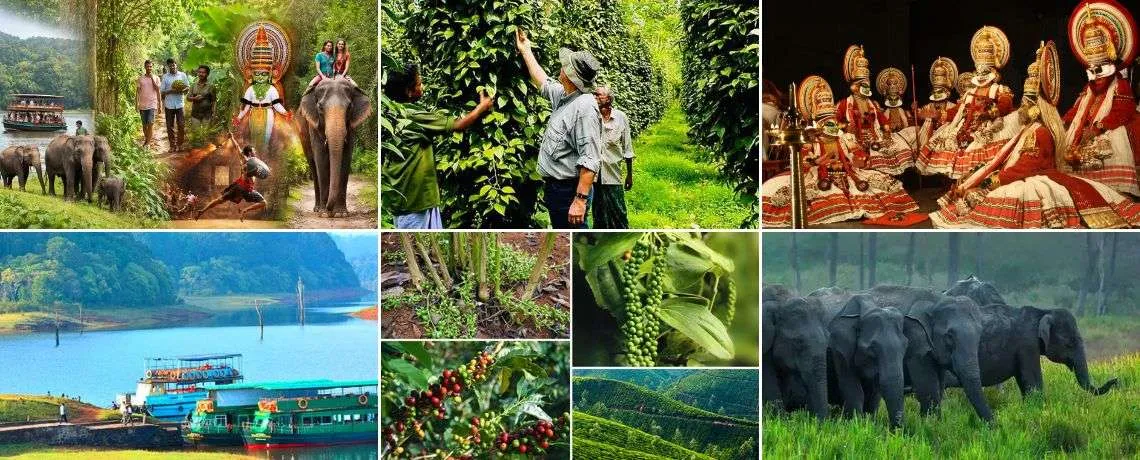 Thekkady Periyar Wildlife & Aromatic Spice Plantation Trail