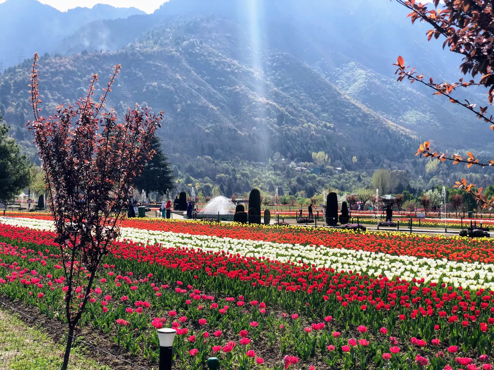 Majestic Kashmir Escape