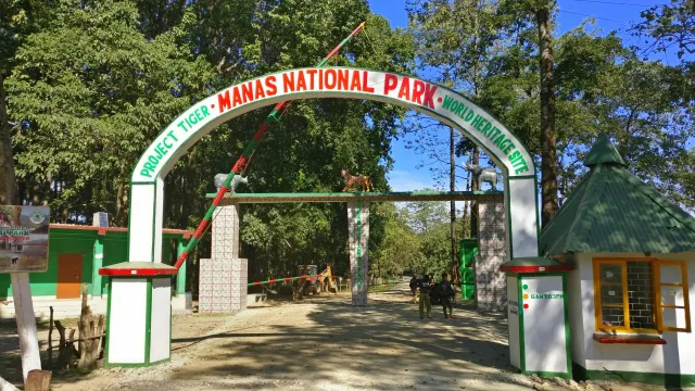 Manas National Park UNESCO Biosphere Reserve & Tiger Safari