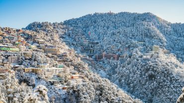 shimla tour with chail