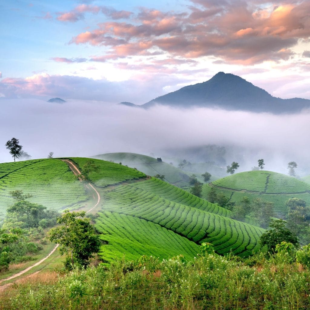 places-to-visit-in-kerala