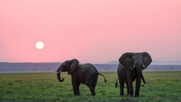 Best Places to Visit in Coorg
