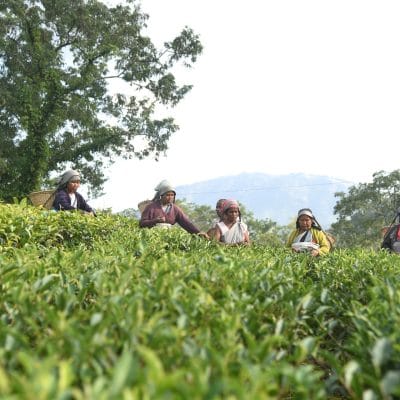 Meghalaya