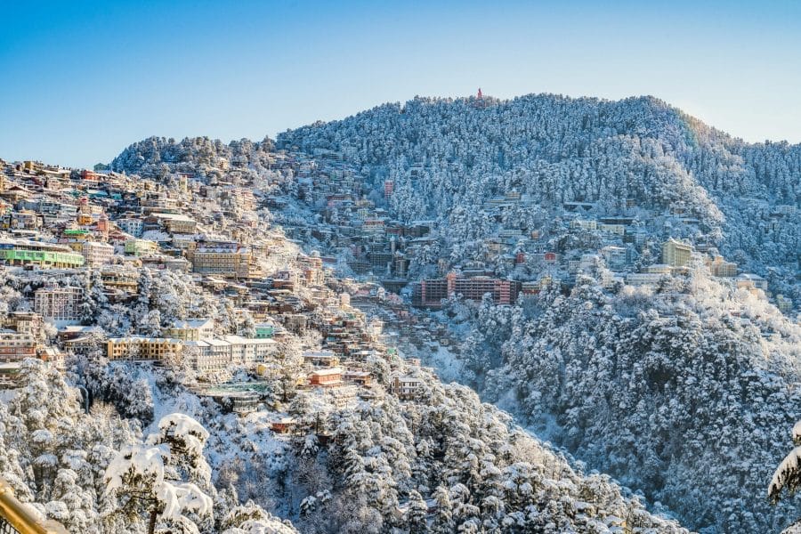 Shimla- Tour Package