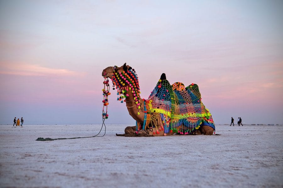 rann utasav