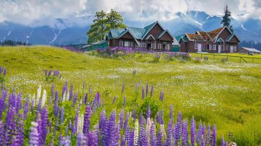 Top 7 Best Places to Visit in India in March & April