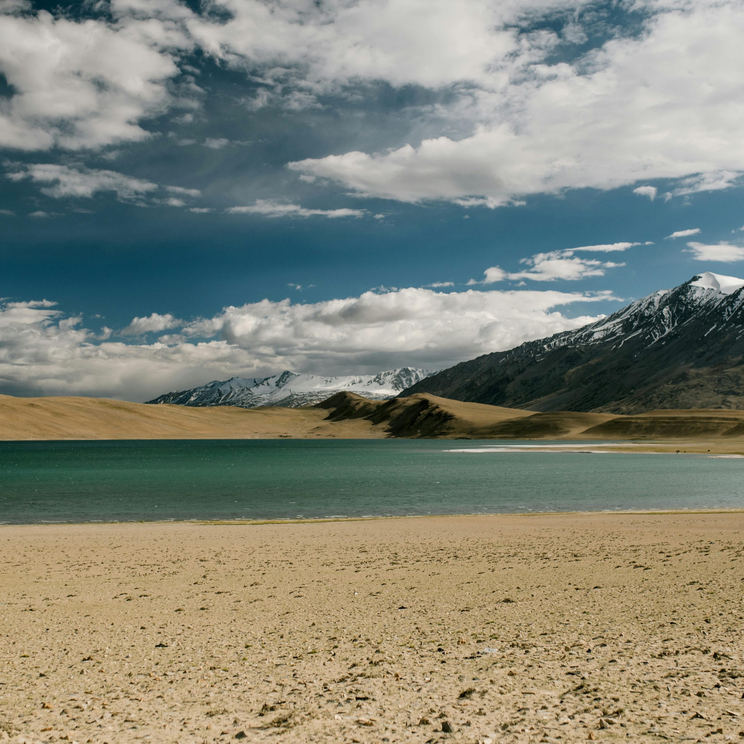DAY - 8 : HANLE TO LEH