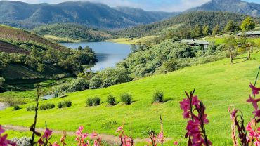 Top 5 Summer Vacation Destinations in India