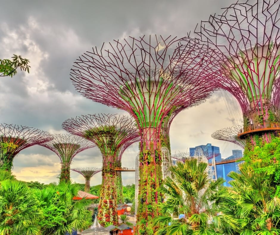 DAY 4 Leisure Day on Cruise