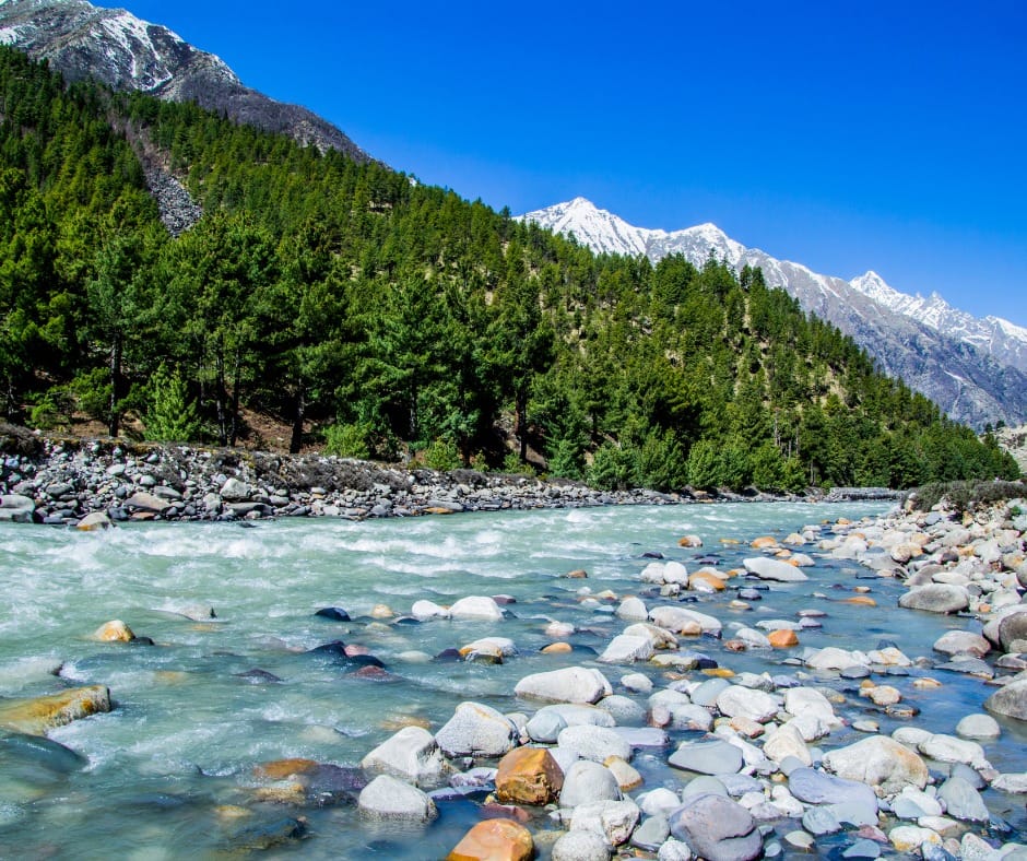 DAY 6 Shimla and Kufri Sightseeing Tour | Departure Day