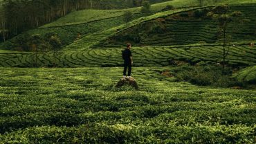 Explore Kerala Without Breaking the Bank