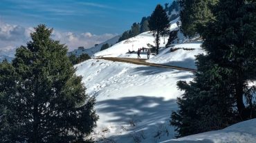 Affordable Himachal Tour Packages Under ₹10,000 – Budget Guide 2025