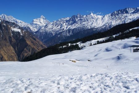 Mountain Cafés & Cozy Stays: Digital Nomad’s Guide to Himachal