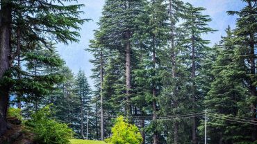 himachal adventure packages