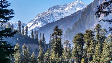 shimla manali honeymoon tour