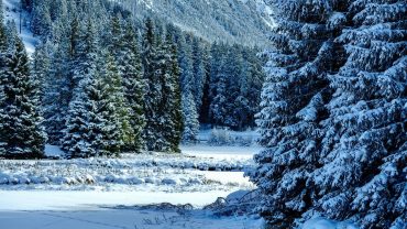 Honeymoon in the Hills – Best Couple Tour Packages in India for 2025