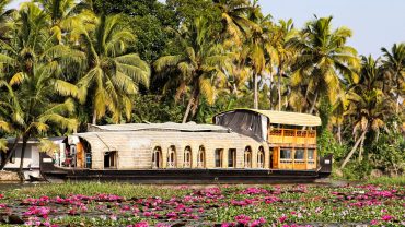 Why Kerala Tour Packages Are Being Chosen by Thousands of Travelers Every Year (And Why You Should Too)