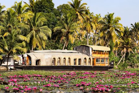 Why Kerala Tour Packages Are Being Chosen by Thousands of Travelers Every Year (And Why You Should Too)